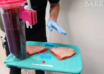 5d27a7ba bd8a 424d a69a 97a32e69cd17